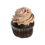 CupcakeRegularChocolate1